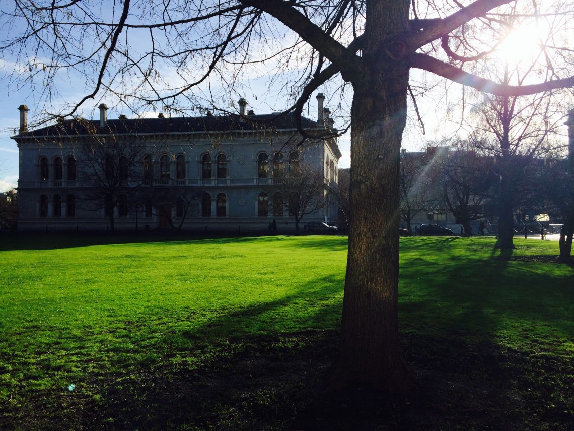 Contented Gypsy | Trinity College